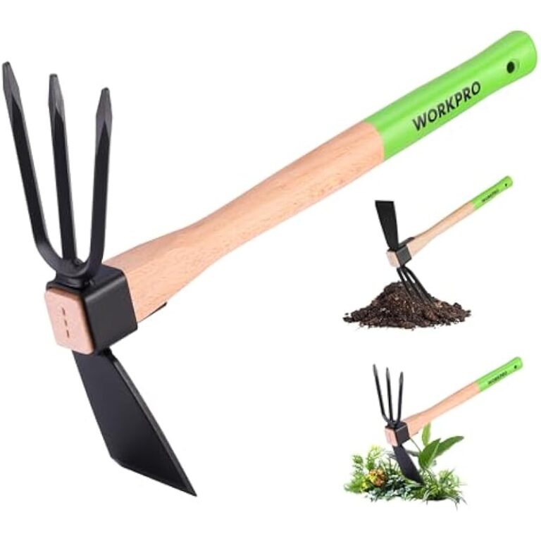 41xjnmtze8l. ac us800 .jpg