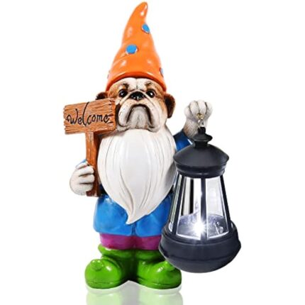 41ypq422dl. ac us800 .jpg