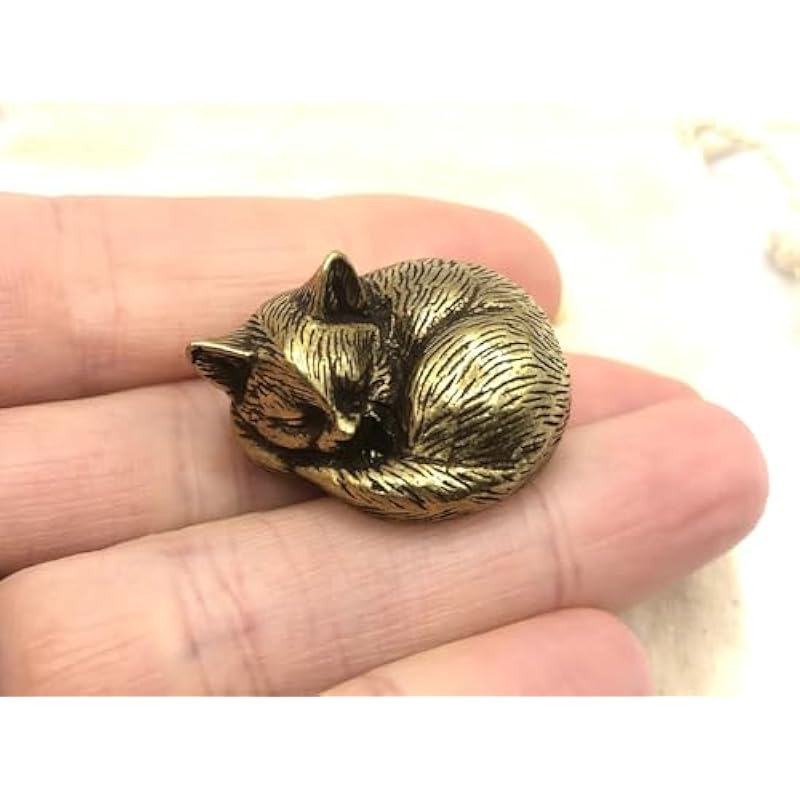 41ysmg7bhkl. ac us800 .jpg