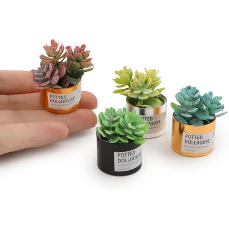 41yv5hisvkl. ac us800 .jpg