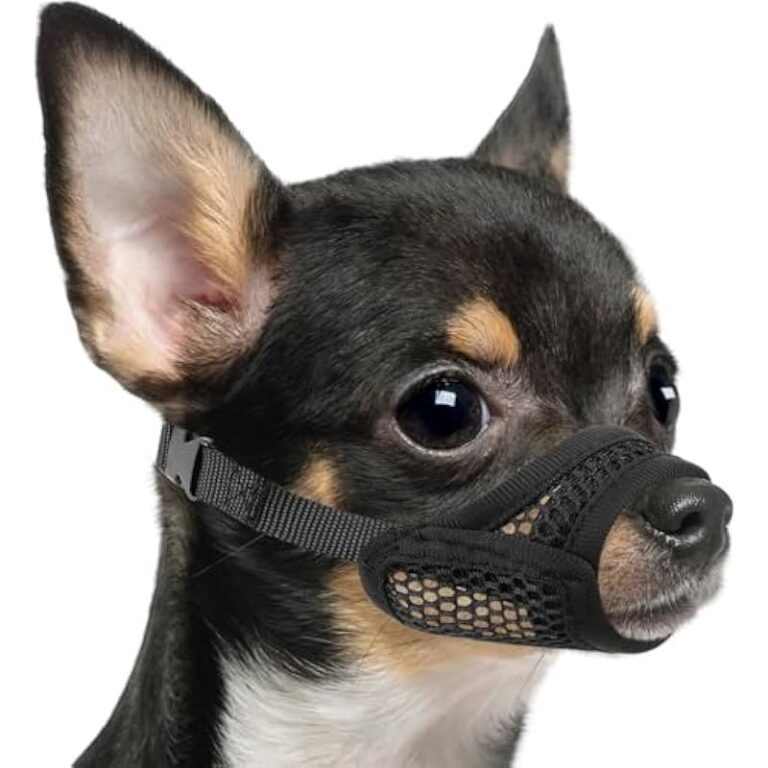 41zr1c82kl. ac us800 .jpg