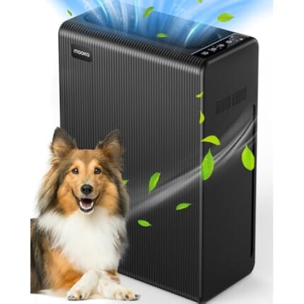 41a17gf89el. ac us800 .jpg