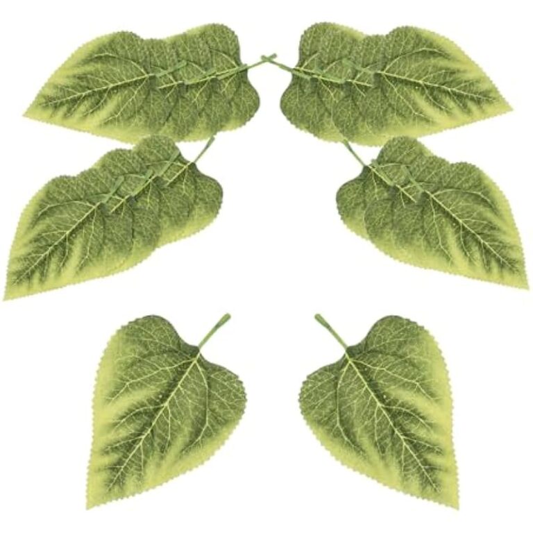 41amzt10yml. ac us800 .jpg