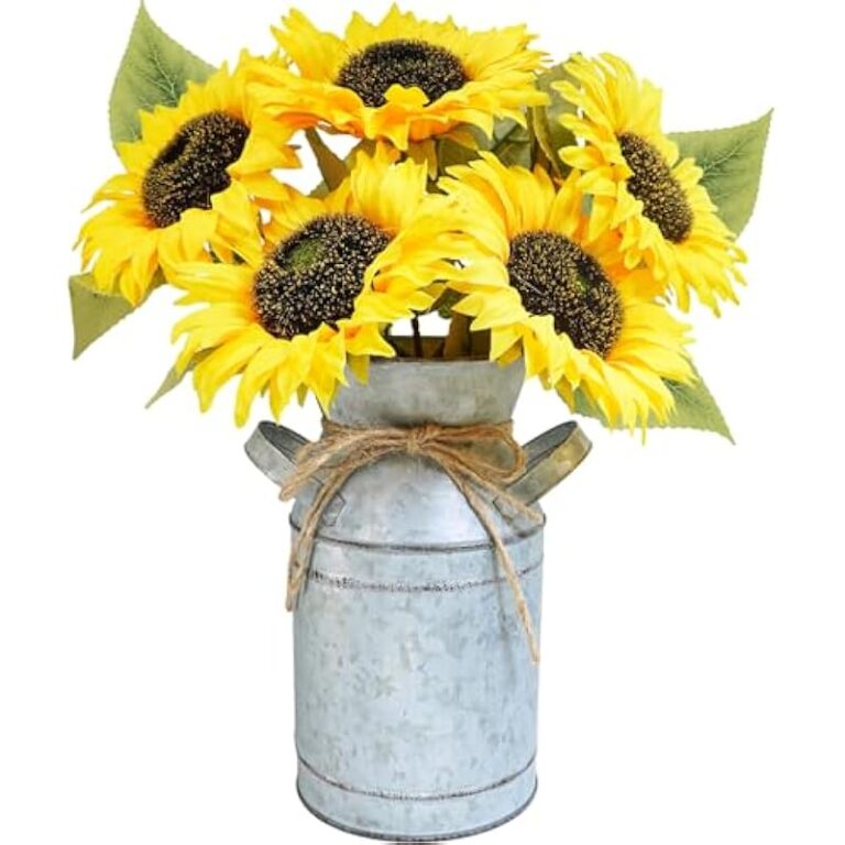 41aut2hp4xl. ac us800 .jpg