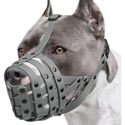 41aaja9neql. ac us800 .jpg