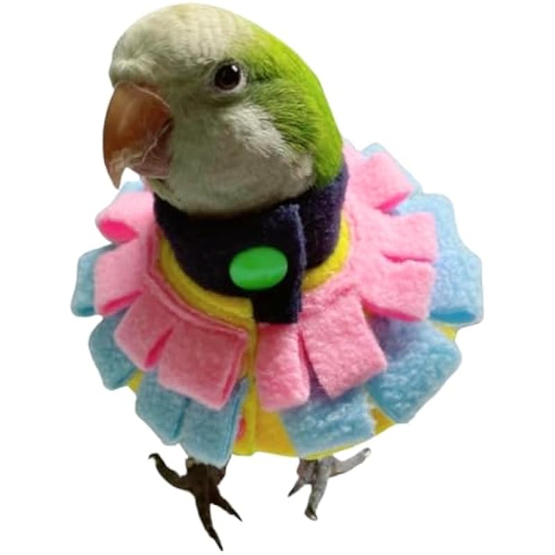 41aqzg1muhl. ac us800 .jpg