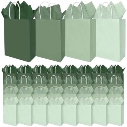 41b0qmbdkul. ac us800 .jpg