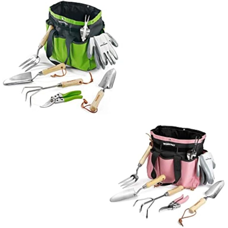 41cgnozy68l. ac us800 .jpg