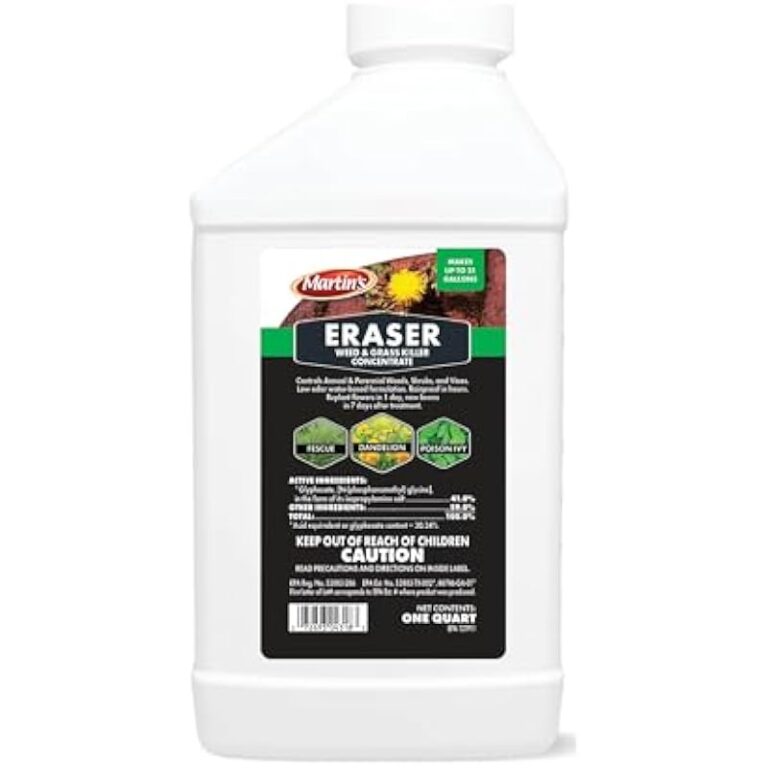 41cm9xta7ul. ac us800 .jpg