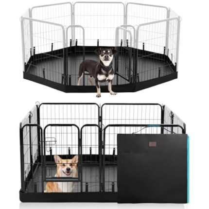 41cbkxvzkfl. ac us800 .jpg