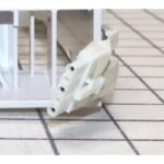 41cjosgwb6l. ac us800 .jpg