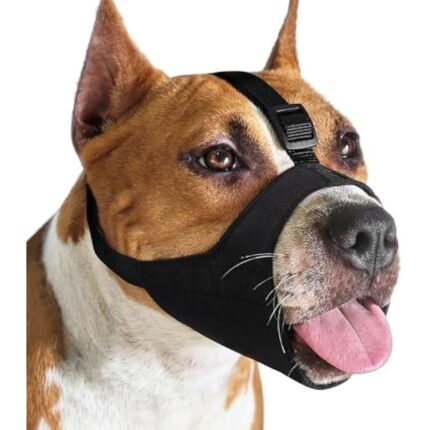 41csgvakzl. ac us800 2.jpg