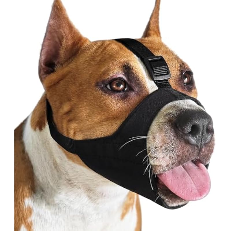 41csgvakzl. ac us800 2.jpg