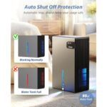 41cxcfmcebl. ac us800 .jpg