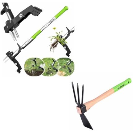 41d92jzedpl. ac us800 .jpg