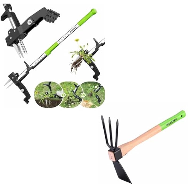 41d92jzedpl. ac us800 .jpg