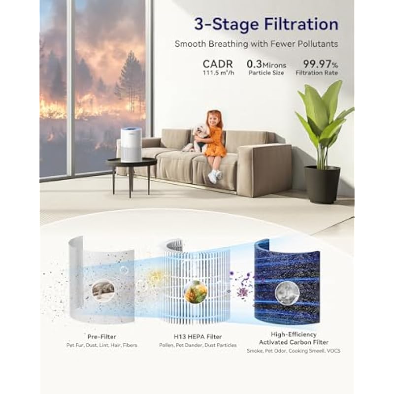 41ddlvqvjcl. ac us800 .jpg