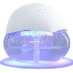 41deaw4eozl. ac us800 .jpg