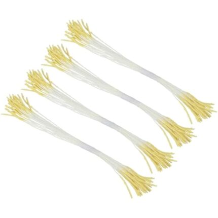 41egw0mvlgl. ac us800 .jpg