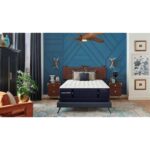 41ffszobibl. ac us800 .jpg