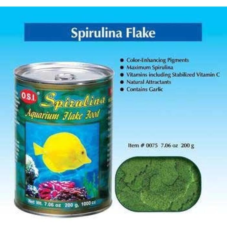 41ffmh44hxl. ac us800 .jpg