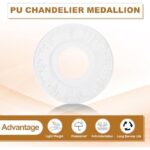 41fq pyvotl. ac us800 .jpg