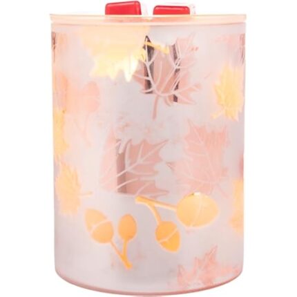 41g5ctzwytl. ac us800 .jpg