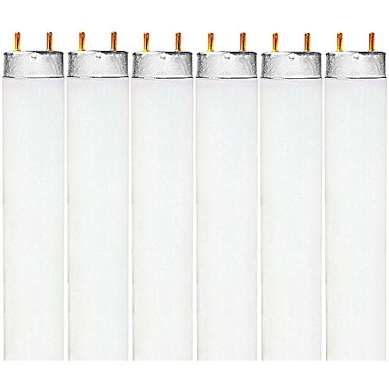 41g9djj5xtl. ac us800 .jpg