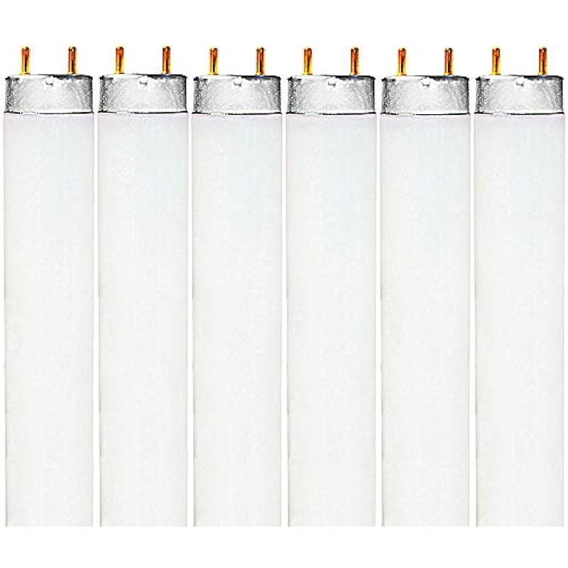 41g9djj5xtl. ac us800 .jpg