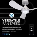 41gvczeb6il. ac us800 .jpg