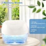 41gwne7rftl. ac us800 .jpg