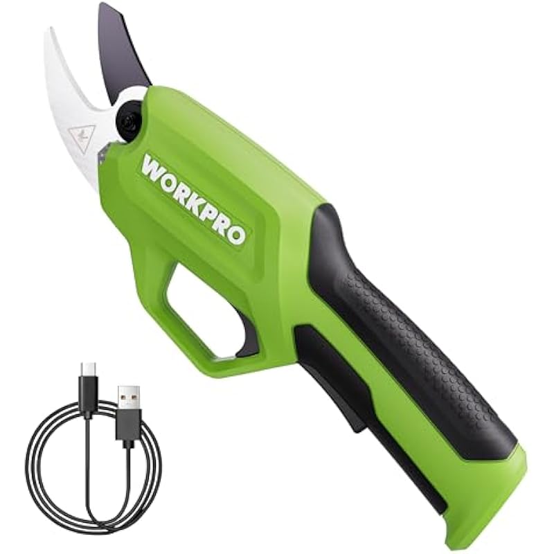 41gxqczn4bl. ac us800 .jpg