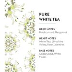 41gz8yr9fal. ac us800 .jpg