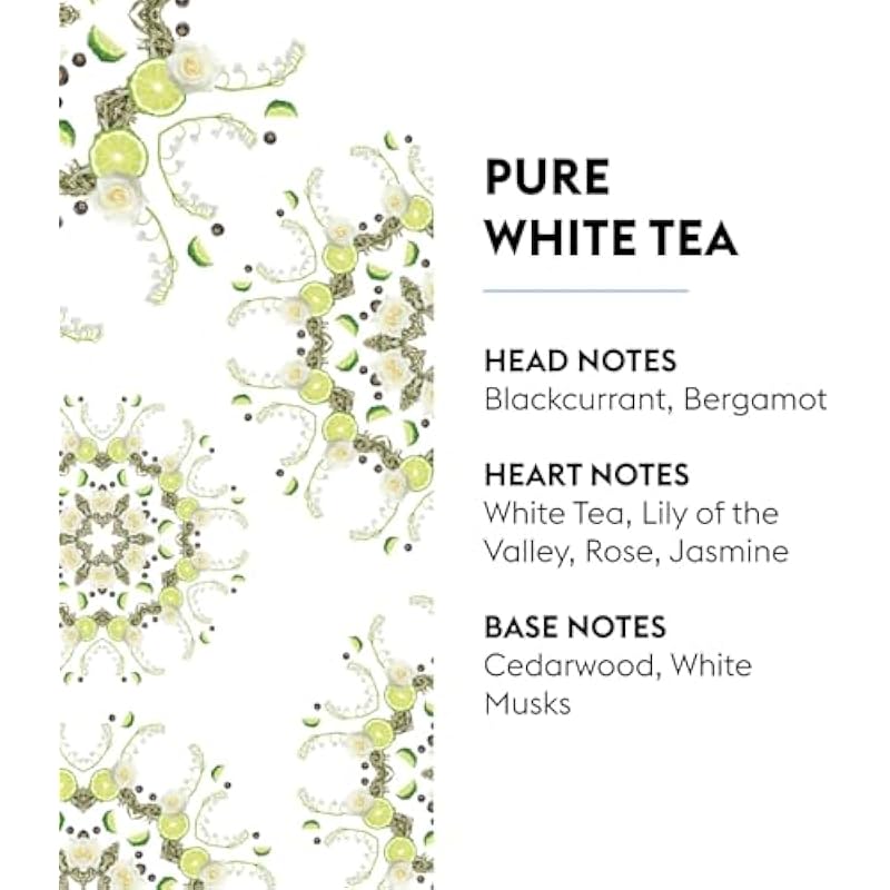 41gz8yr9fal. ac us800 .jpg