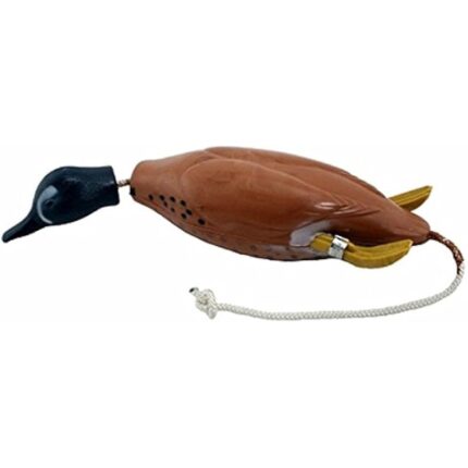 41gwlhcxl. ac us800 .jpg