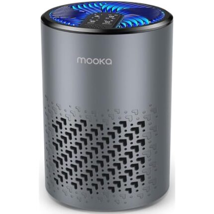 41hrdxqplkl. ac us800 .jpg