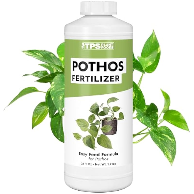 41hrgypfpxl. ac us800 .jpg