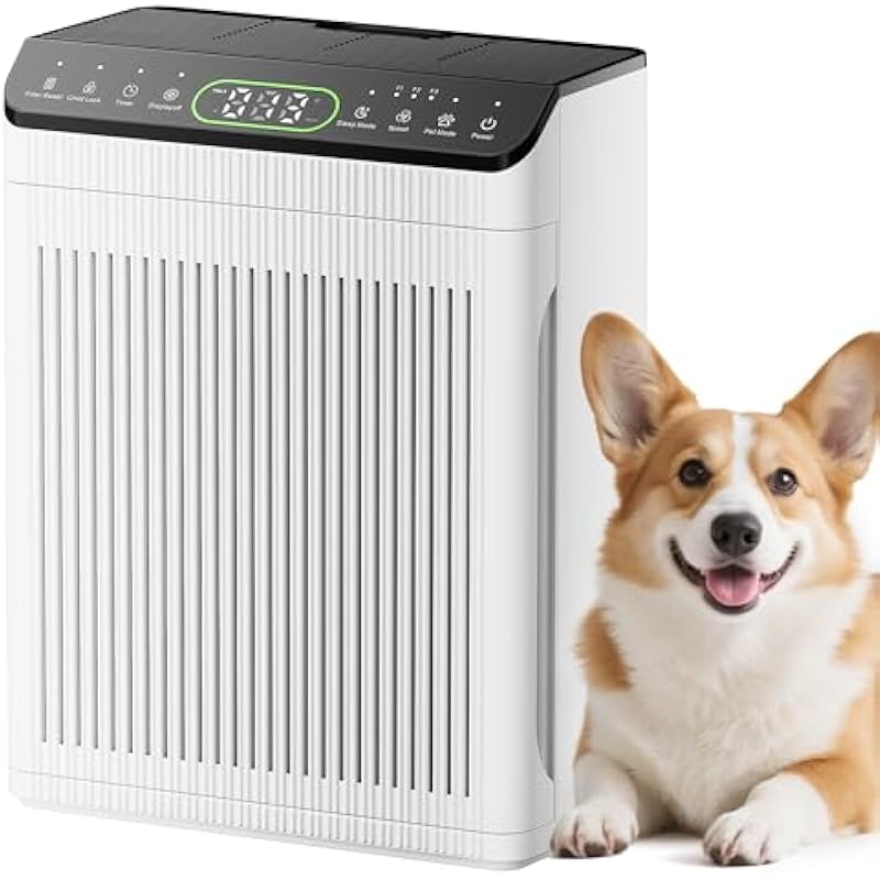 41igjifpo3l. ac us800 .jpg