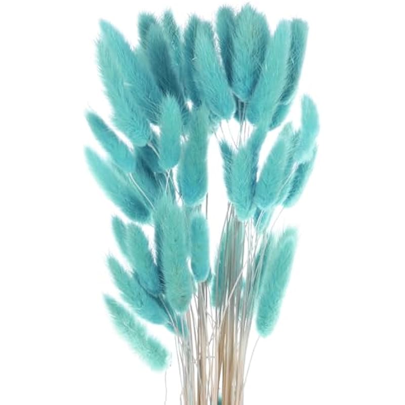 41j1mto3 2l. ac us800 .jpg