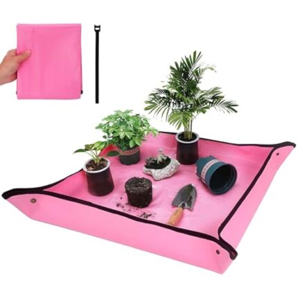 41jdstc2j8l. ac us800 .jpg