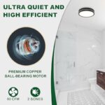 41jj5jz3n8l. ac us800 .jpg