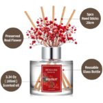 41jypg6nfl. ac us800 .jpg