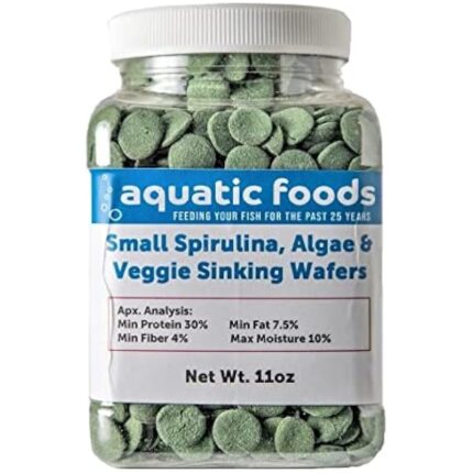 41k7kfpnfkl. ac us800 .jpg