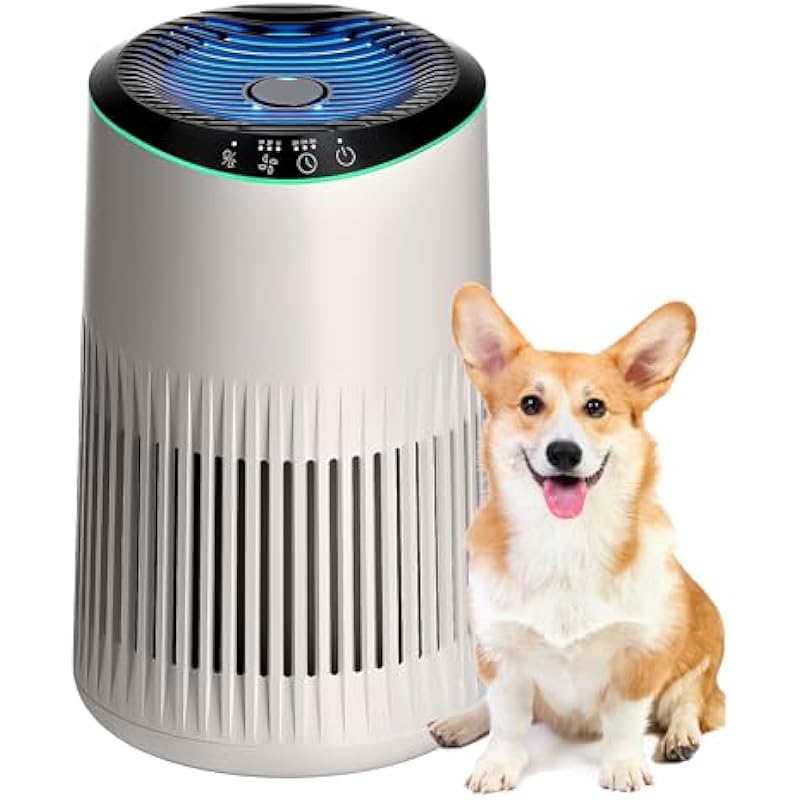 41ktd9kbpll. ac us800 .jpg