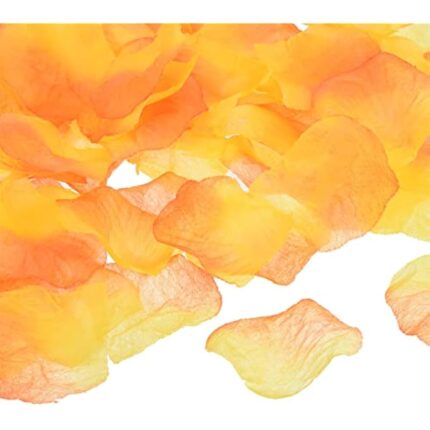 41kvpnvm5nl. ac us800 .jpg