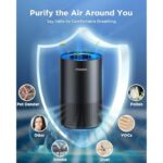 41kyt9plpdl. ac us800 .jpg