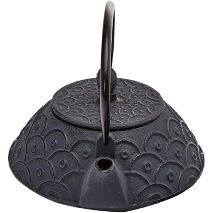 41lh7x aynl. ac us800 .jpg