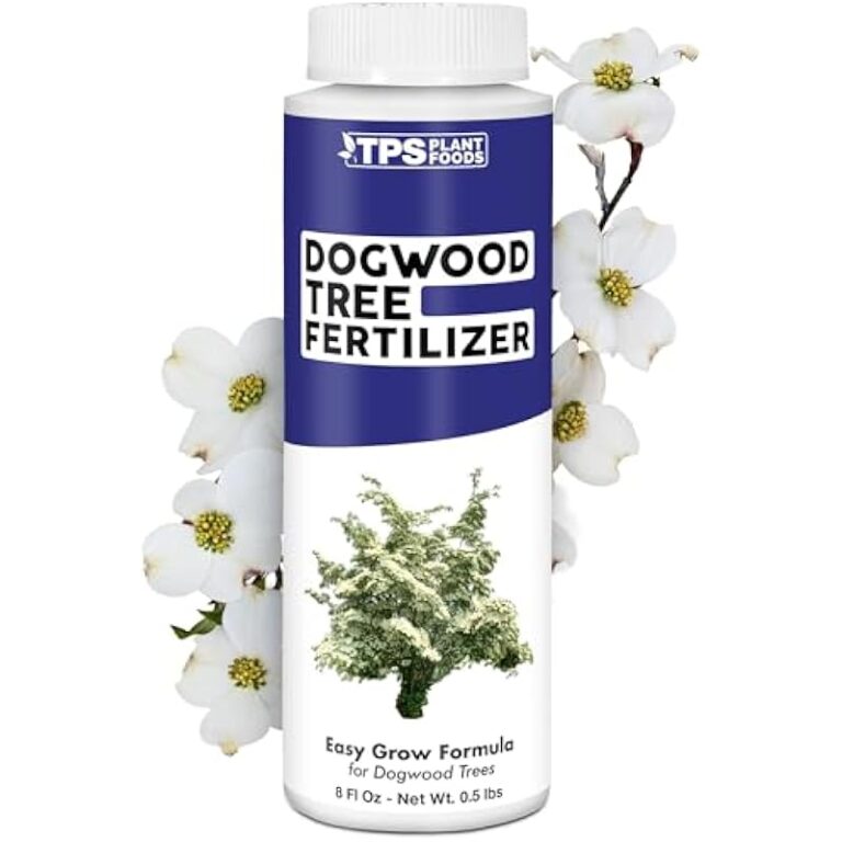 41lqmbmktal. ac us800 .jpg