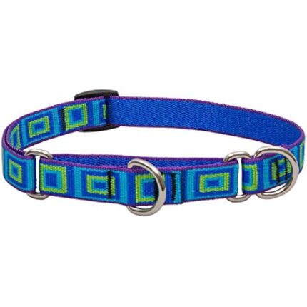 41lwqsrbbal. ac us800 .jpg