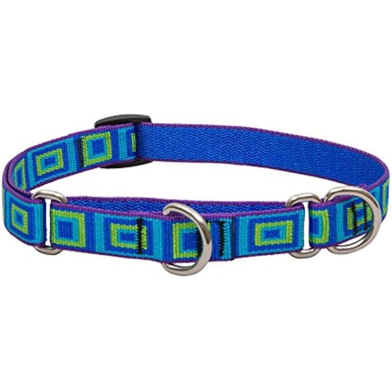 41lwqsrbbal. ac us800 .jpg